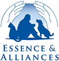 Essence et alliances